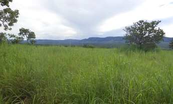 Imagem 4: Vende-se uma excelente fazenda de 610 Alqueires