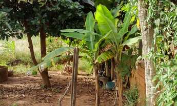 Imagem 6: Chácara em Planaltina de Góis 4 mil metros, 79 Mil