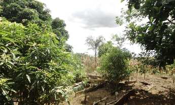 Imagem 5: Chacára na DF 01 - Poço Azul KM 106 Brazlândia/DF