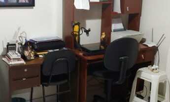 Imagem 3: Venda 2 qts santa rosa