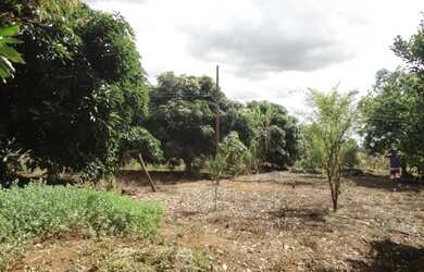 Imagem 2: Chacára na DF 01 - Poço Azul KM 106 Brazlândia/DF