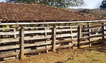 Imagem 7: ESTRUTURA PARA PECUÁRIA!!!AGUA DE NASCENTE!!!90% PASTAGEM!!! 35 KM DO AEROPORTO!!!