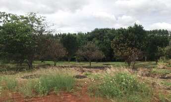 Imagem 5: Lote 4.000 m2 condomínios de chácara