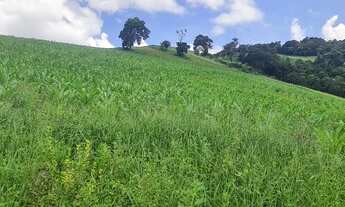 Imagem 7: TERRENO COM 8 ALQUEIRES DE TERRA COM NASCENTE OTIMA LOCALIZAÇÃO