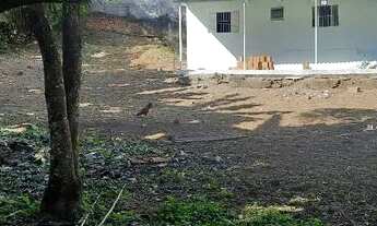 Imagem 2: Alugo casa totalmente reformada Bairro Horto Florestal SP- terreno 1025 metros