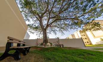 Imagem 6: CHAPADA BOULEVARD RECEM PINTADO