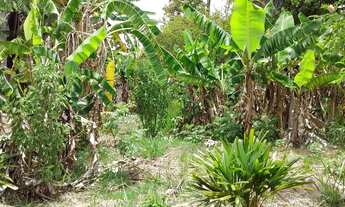 Imagem 4: Fazenda/Sítio/Chácara para venda com 1234 metros quadrados com 2 quartos em Vila Ipê - Cam