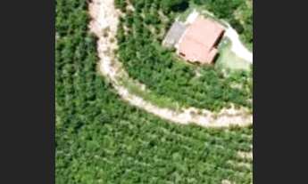 Imagem 4: Chácara perobas ,água .luz,perto patrimônio ,condomínio rural não paga