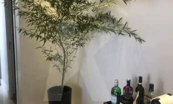 Imagem 2: Apartamento na Melhor Localização da Vila Maria