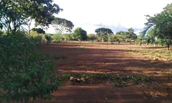 Imagem 6: Jesus te ama - Vendo Chácara com 6,5 hectares em Planaltina-DF