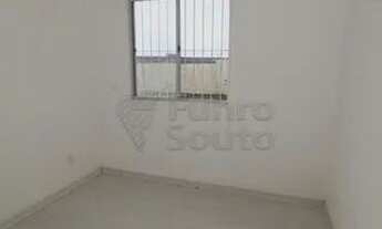 Imagem 6: Apartamento Padrão em Pelotas