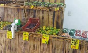 Imagem 5: Vendo Hortifruti