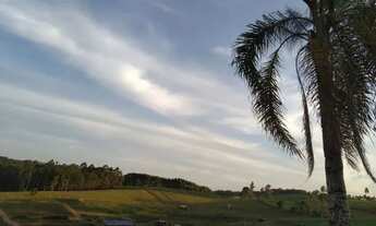 Imagem 2: VENDO LINDO SITIO - 6 HECTARES