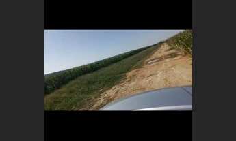 Imagem 3: OPORTUNIDADE <br>Fazenda de 497 hectares no Município de Pirapora MG