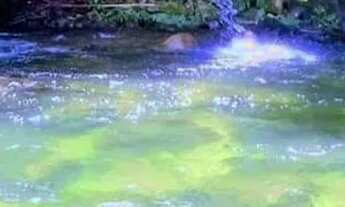 Imagem: Chalé da Cachoeira no pé da Serra de Friburgo