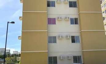 Imagem 7: Apartamento para aluguel tem 46 metros quadrados com 3 quartos