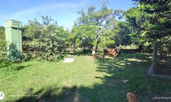 Imagem 7: Fazenda com 4 ALQUEIRE para venda possui 193.600 m² CASA SEDE com 2 quartos