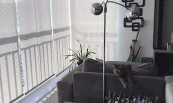 Imagem 7: SãO BERNARDO DO CAMPO - Padrão - Planalto