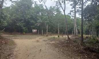 Imagem 5: Vendo lotes pra chácara