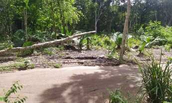 Imagem 4: Vendo este terreno no Pajuçara