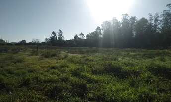 Imagem 2: Áreas de terra para plantio