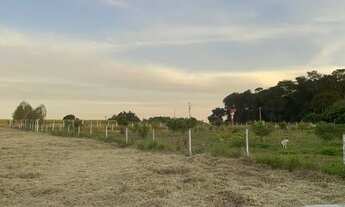 Imagem 5: Chácara Sitio - Lugar lindo com fácil acesso - oportunidade única