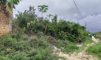 Imagem 3: Terreno no Miritiua