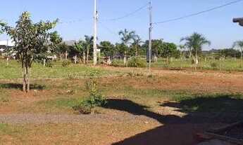 Imagem 3: Vendo chácara 5.555mts perto da cidade