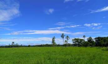 Imagem: Fazenda 25 alqueires Plana ( Willian Ricardo