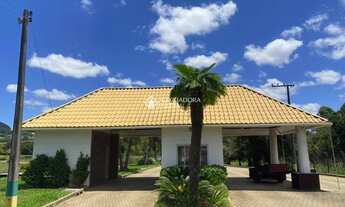 Imagem 4: NOVO HAMBURGO - Terreno Padrão - Lomba Grande