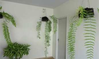 Imagem 6: Casa térrea comercial/residencial à venda no centro de Vinhedo/SP