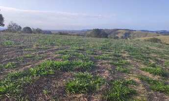 Imagem: Lote/Terreno para venda possui 500 metros