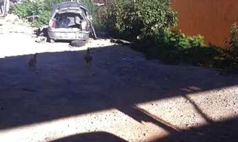 Imagem 4: Casa com 5 dormitórios à venda em Belo Horizonte