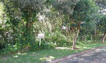 Imagem 4: Lote/Terreno para venda tem 2562 metros quadrados em Rio Abaixo - Mairiporã - SP