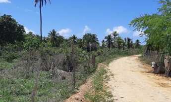 Imagem 5: Terreno no Povoado Gameleira/ Areia Branca - Mosqueiro