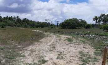 Imagem 4: Terreno no Povoado Gameleira/ Areia Branca - Mosqueiro