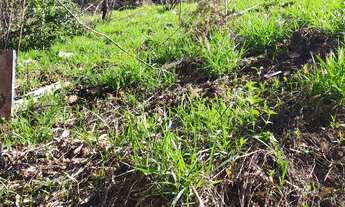 Imagem: Terreno em s. Pedro- sant. Parnaíba- 125