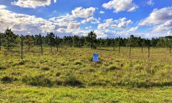 Imagem: Terreno a venda em Balneário Gaivota
