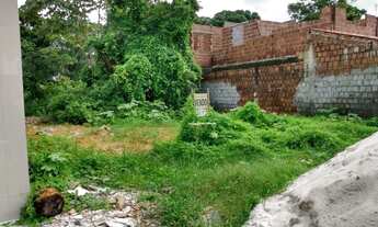 Imagem 3: Vende Terreno Sucupira 200m²