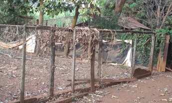 Imagem 6: Chácara no Cariru Planaltina DF 7 hectares 395.000,00