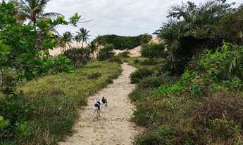 Imagem 5: Sítio no povoado Tigre, Pacatuba-SE