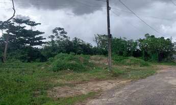 Imagem 4: Terreno Amazon Garden