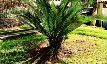 Imagem 5: Alugo casa na Castalia