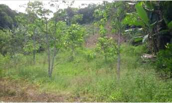 Imagem 6: Terreno no Terezopolis em Águas Mornas - SC