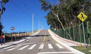 Imagem 6: Terreno Lote para Venda em Sertão do Maruim São José-SC - 977