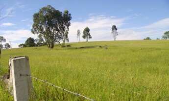 Imagem 4: ÁREA CASTELLO BRANCO - ITU - KM 70 SENTIDO CAPITAL