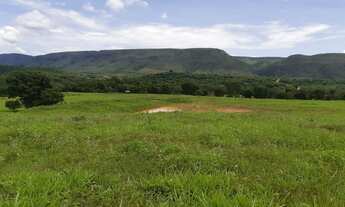 Imagem: Vende-se uma excelente fazenda de 610 Alqueires