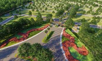 Imagem 3: Jardins Terra Brasilis - Bairro Terra Brasilis