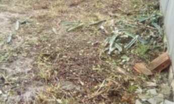 Imagem 4: Cod 2312 Terreno Plano - Ouro Verde com 392m² 14 X 28