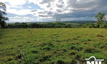 Imagem 5: Chácara em Cromínia-GO. > 5 Alq. (24,2 Há